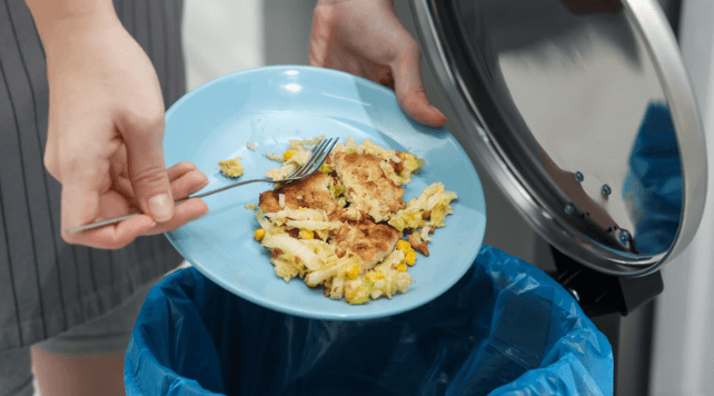 kitchen waste container bd